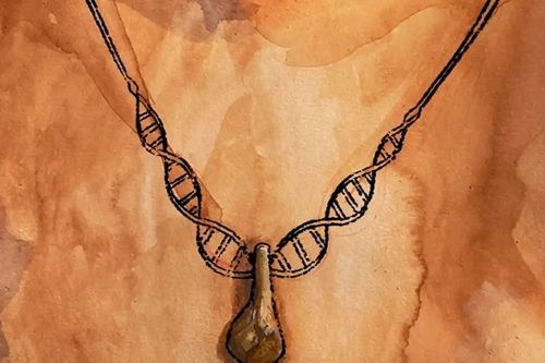 Nghiên cứu DNA để tìm ra chủ nhân sợi dây chuyền thời đồ đá