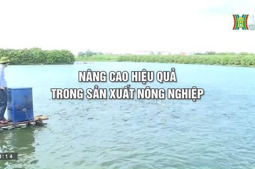 Nông nghiệp nông thôn (ngày 04/05/2023)
