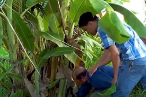 Công an tạm giữ người làm vườn vì dựng hiện trường giả trộm cắp 1,4 tỷ đồng