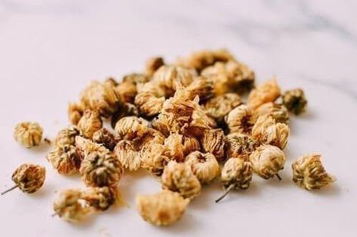 Sự khác biệt giữa trà hoa cúc tươi và trà hoa cúc khô