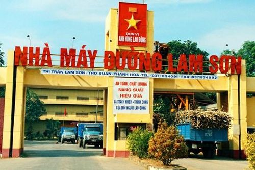 Công ty CP Mía đường Lam Sơn bị phạt 100 triệu đồng