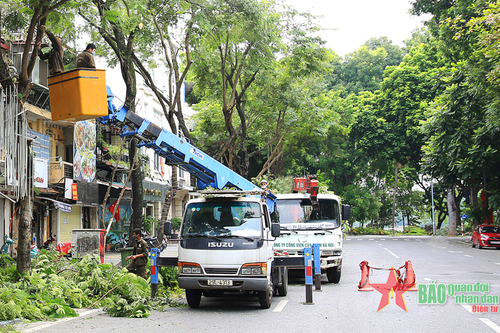Hà Nội dự kiến cắt tỉa khoảng 348.000 cây xanh trước mùa mưa bão năm 2023