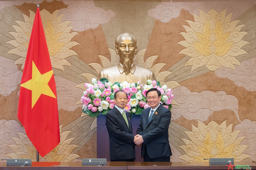 Thúc đẩy hợp tác nghị viện Việt Nam - Nhật Bản vì hòa bình ở khu vực và thế giới