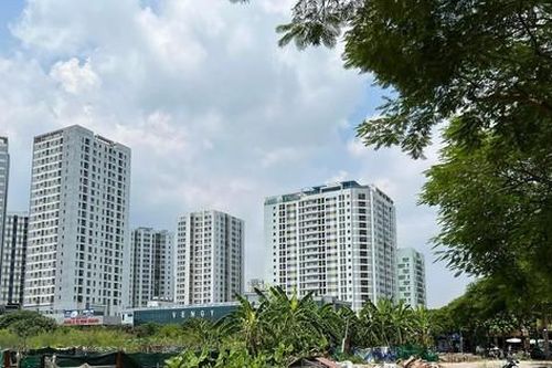Bí thư Hà Nội: Chấm dứt tình trạng quy hoạch trường học, bệnh viện vào bãi tha ma