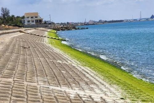 Kỷ luật Phó Giám đốc Sở Nông nghiệp và Phát triển nông thôn Bình Thuận