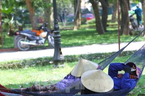 Nghệ An: Người dân 'rang mình' dưới nắng nóng gần 42 độ C