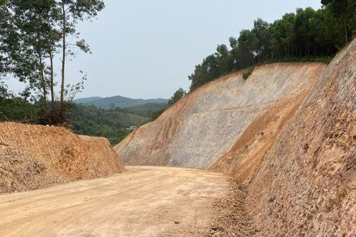 Quảng Trị: Nóng lòng giải ngân vốn, 'xẻ' rừng chưa chuyển đổi làm dự án trăm tỷ