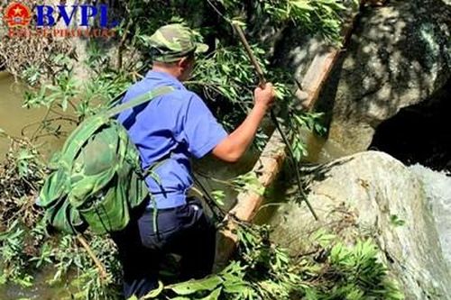 Kiểm sát viên vượt rừng sâu truy tìm dấu vết 'lâm tặc'