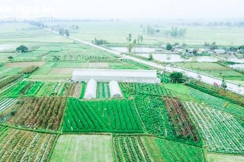 Thêm 4 xã của huyện Nam Đàn được công nhận đạt chuẩn 'Nông thôn mới kiểu mẫu'