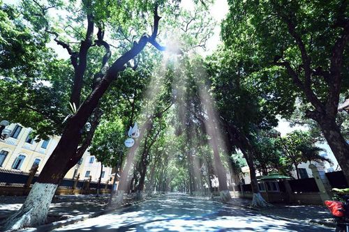 Nhiều thành phố có chỉ số tia cực tím rất cao