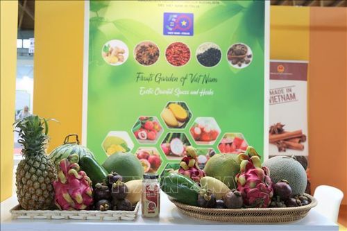 Cơ hội quảng bá tiềm năng rau quả và gia vị Việt Nam tại Hội chợ quốc tế Macfrut 2023