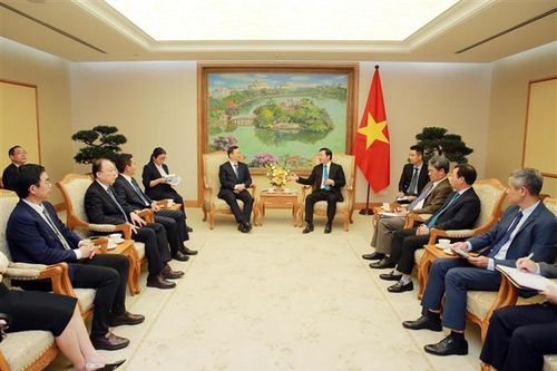 Phó Thủ tướng Trần Hồng Hà tiếp lãnh đạo Tập đoàn BYD và Tập đoàn Điện sinh khối Erex