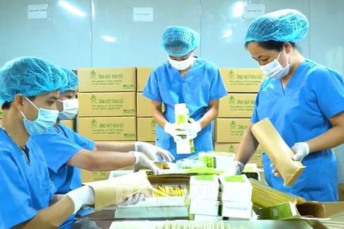 Tạo sức bật để phát triển thương hiệu cho hợp tác xã