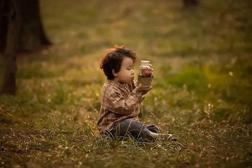 Nuôi dạy bé trai giống như trồng cây, cha mẹ cần 'chăm bón 6 loại dưỡng chất' này