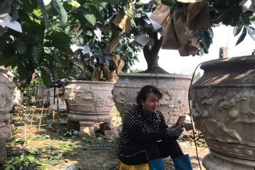 Phụ nữ Văn Giang nhàn tênh nhờ tưới cây bằng... điện thoại
