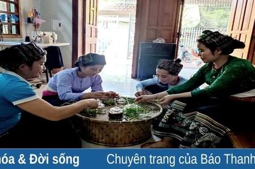 Thảo dược thiên nhiên Hoa Núi - từ ý tưởng đến sản phẩm