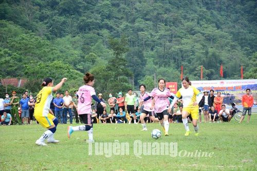 Những 'bóng hồng' trên sân cỏ