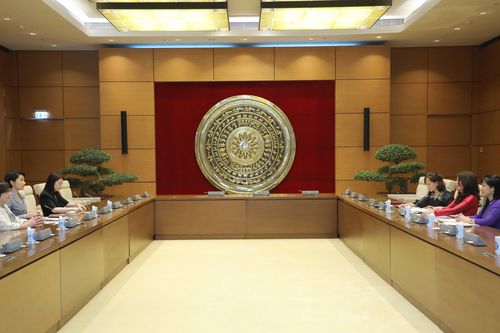 Phó Chủ nhiệm Ủy ban Đối ngoại Lê Thu Hà tiếp Đoàn nữ nghị sĩ Nhật Bản