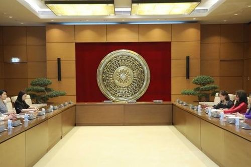 Phó Chủ nhiệm Ủy ban Đối ngoại Lê Thu Hà tiếp Đoàn nữ nghị sĩ Nhật Bản