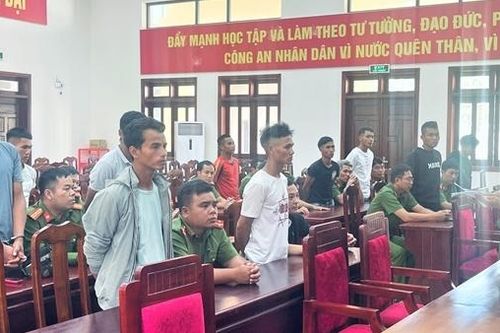 Thêm 9 đối tượng bị khởi tố trong vụ chặt phá tài sản của doanh nghiệp