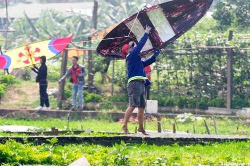 Khách nước ngoài thích thú với cánh diều chao lượn trên đồng quê Việt Nam