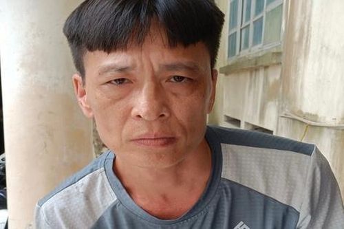 Mới ra tù, con rể dùng dao đâm mẹ vợ trọng thương