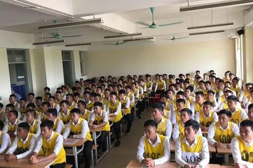 Thực tập sinh đi làm tại Nhật Bản: Không giới hạn số lượng