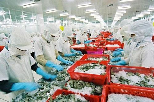 'Vua tôm' Minh Phú lỗ gần trăm tỷ đồng