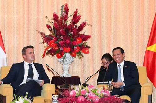 TPHCM mong muốn hợp tác với Luxembourg lĩnh vực tài chính xanh