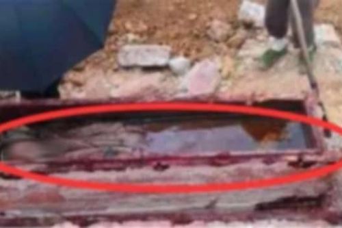 Vén màn che hài cốt trong cổ mộ, chuyên gia phán: 'Chạy ngay đi!'