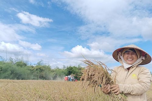 Liên minh HTX tại Đắk Lắk chung tay xóa đói giảm nghèo bền vững