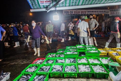 Cảng cá trước bình minh
