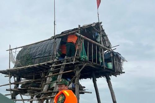 Hải Phòng yêu cầu xem xét trách nhiệm cán bộ để xảy ra sai phạm về bãi nuôi ngao