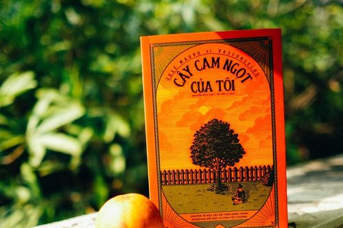 Tác giả 'Cây cam ngọt của tôi': Hào quang rực rỡ nhờ cuốn sách mỏng