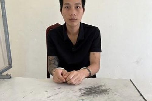 Lừa bán cây cảnh, chiếm đoạt hơn 300 triệu đồng
