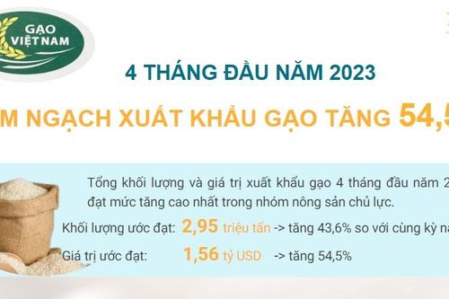 Kim ngạch xuất khẩu gạo tăng 54,5%