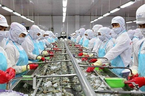 'Vua tôm' Minh Phú kinh doanh thua lỗ vẫn trả hơn 900 tỷ đồng nợ ngân hàng