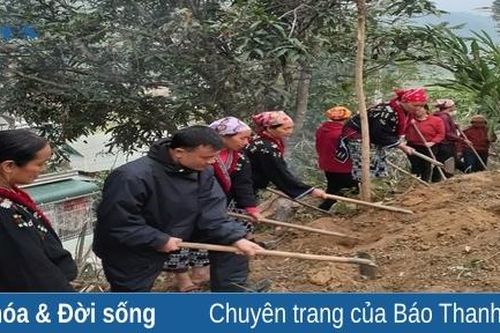 Tìm sinh kế để giảm nghèo ở Mường Lát