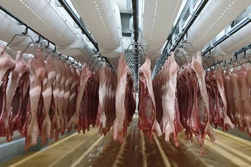 Chi hàng tỷ USD mỗi năm để nhập khẩu các sản phẩm chăn nuôi
