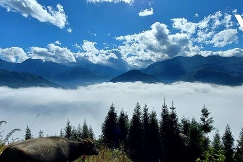 Săn mây ở nơi con sông Hồng chảy vào đất Việt