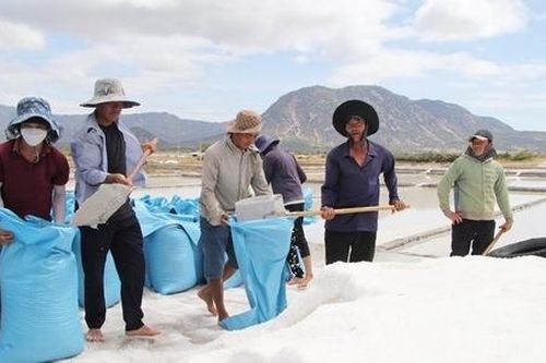 Nâng cao thu nhập bằng nghề làm muối truyền thống