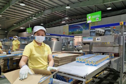 Chủ thương hiệu Vinasoy hưởng lợi từ giá đường, có hơn 5.000 tỷ đồng tiền mặt