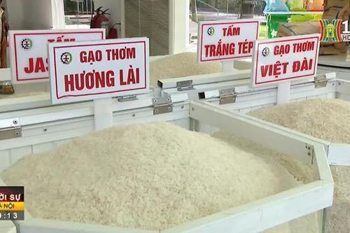 Giá gạo Việt tăng cao nhất trong 2 năm