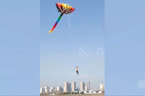 Người đàn ông bay lên không trung cùng diều khổng lồ