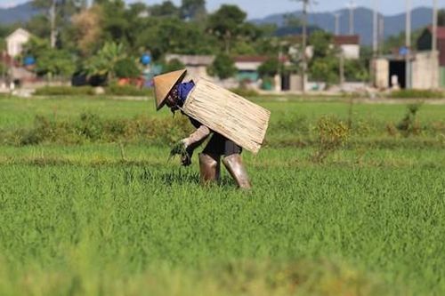 Người dân miền Trung quay cuồng trong nắng nóng khủng khiếp đầu mùa
