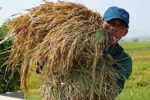 Người dân miền Trung quay quắt trong nắng nóng trên 40 độ C