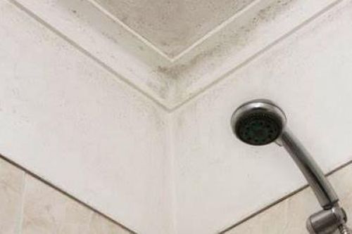 2 cách loại bỏ nấm mốc trên trần nhà tắm hiệu quả