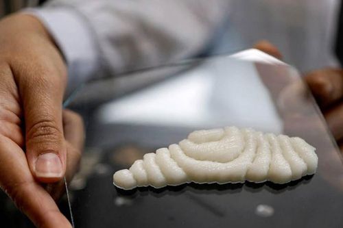 Độc lạ cá tươi in 3D chuẩn bị ra mắt thị trường