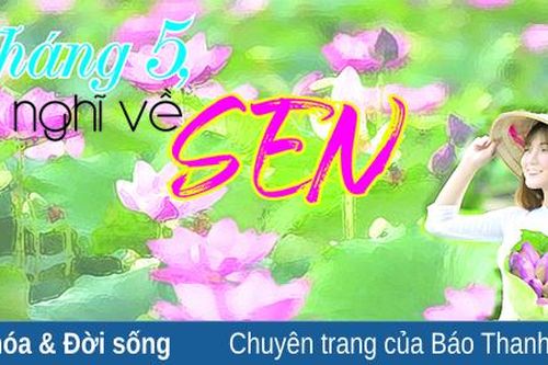 Tháng 5, nghĩ về sen