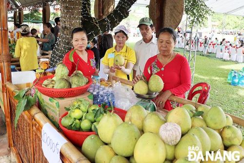Bưởi trụ lông Đại Bình